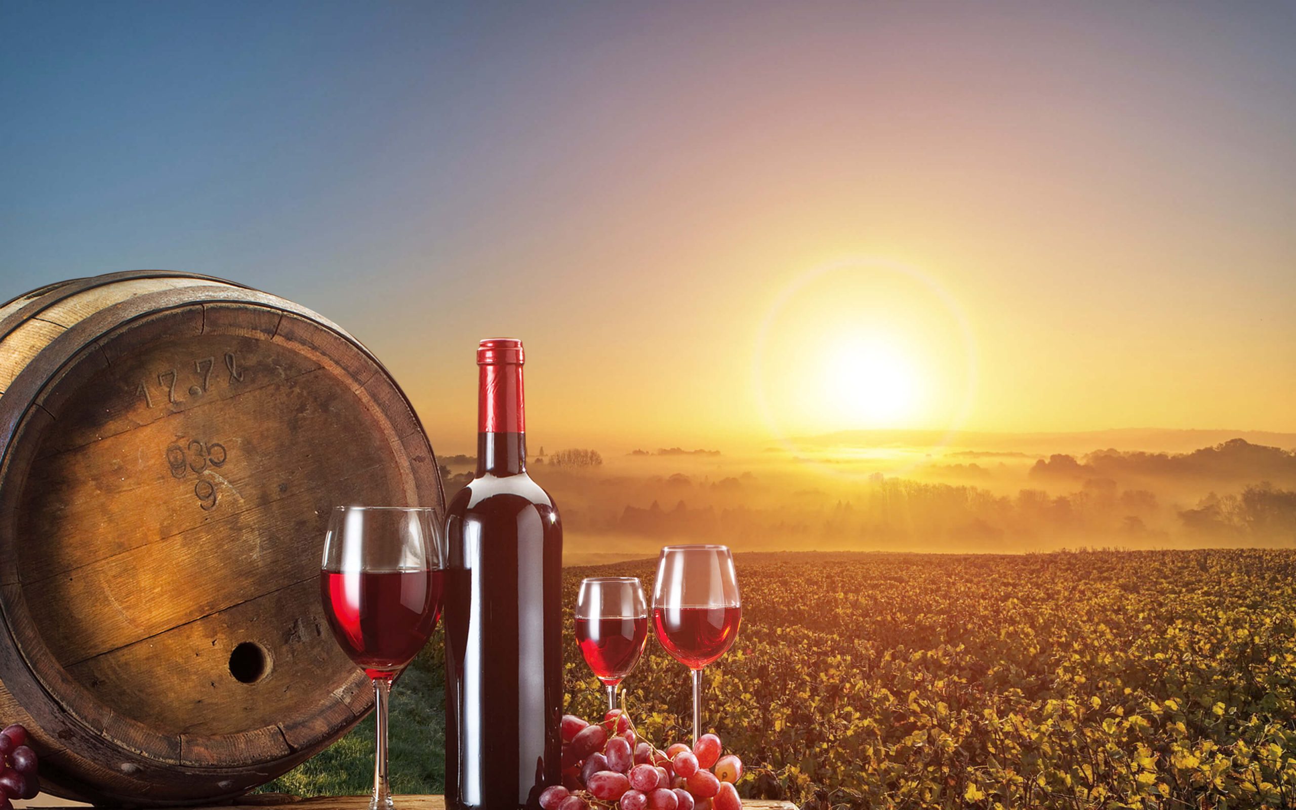 Can you advertise alcohol on Google in Cambodia?